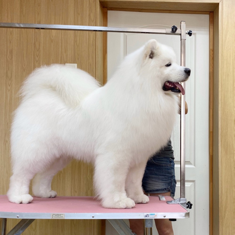 Филя "Амурская звезда" Хабаровск