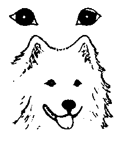 Стандарт породы САМОЕД: Круглые глаза