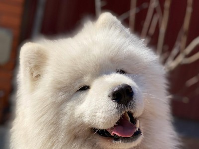 Костя "Амурская звезда" Хабаровск