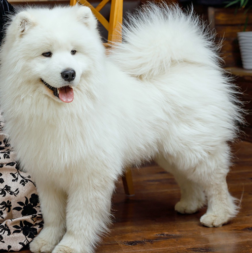 Костя "Амурская звезда" Хабаровск