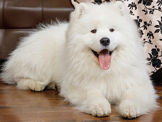 Костя "Амурская звезда" Хабаровск