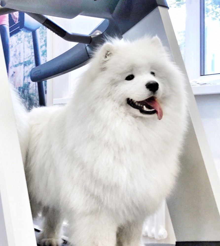 Кристина "Амурская звезда" Хабаровск