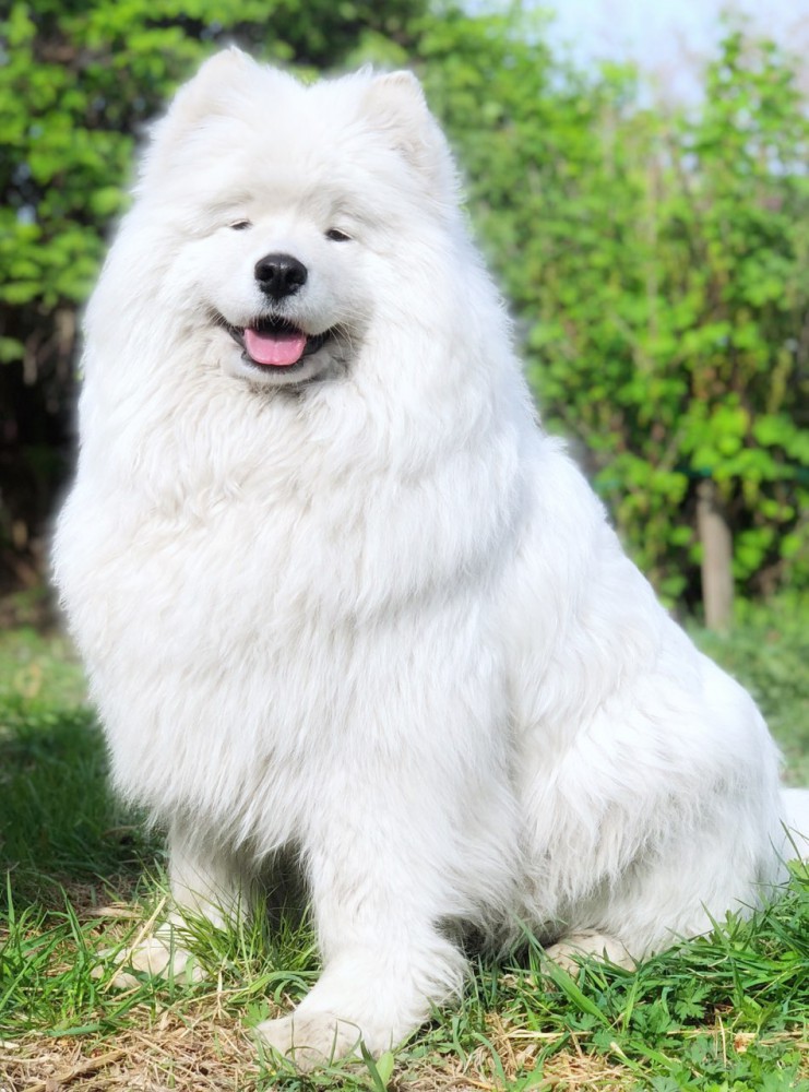 Кристина "Амурская звезда" Хабаровск