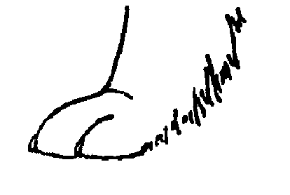 Стандарт породы САМОЕД: Заячья лапа