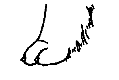 Стандарт породы САМОЕД: Кошачья лапа