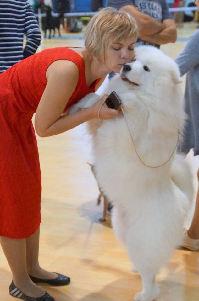 Попробуем разобраться с тем, какой щенок Вам нужен: мальчик или девочка