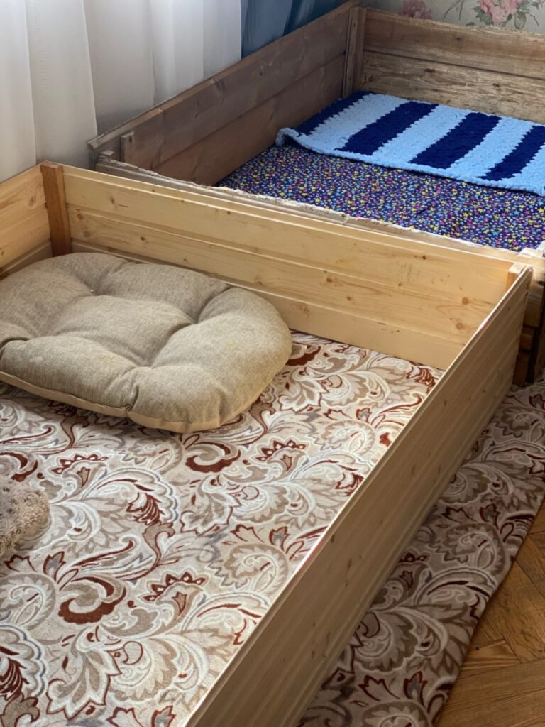 Место для родов собаки