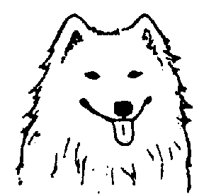 Стандарт породы САМОЕД: Излишне широкая морда