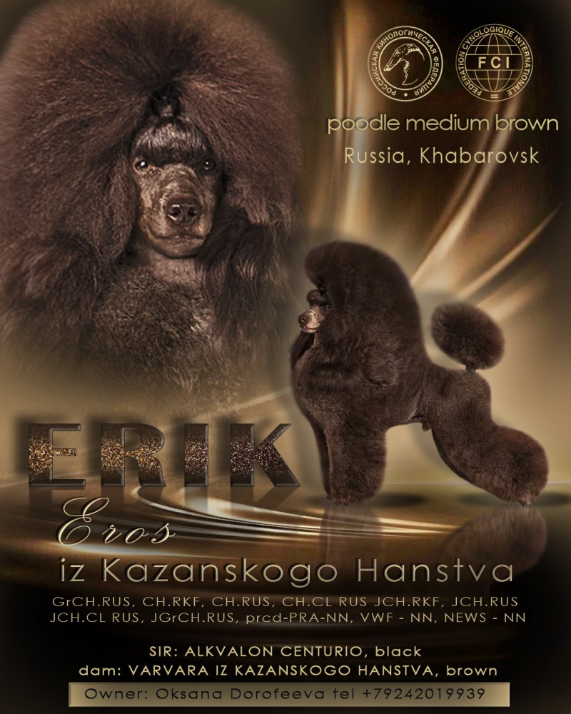 Презентация помёта самоедов