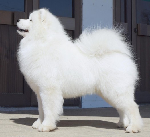 Костя "Амурская звезда" Хабаровск