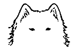 Стандарт породы САМОЕД: Уши правильной формы