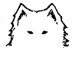 Стандарт породы САМОЕД: Заострённые уши