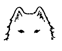 Стандарт породы САМОЕД: Сближенный постав ушей